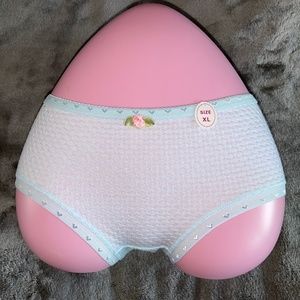 Bubble cotton Candy colour Panties. Pastel coloured panties, 24" to 34" waist